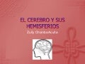 El cerebro y sus hemisferios