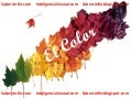 El Color 