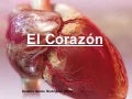 El Corazon