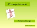 El Cuerpo Humano