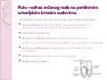Elementarni pojmovi ekg