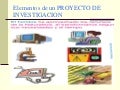 Elementos Proyecto Investigacion