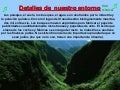 El fin del mundo. Historia de la inteligencia.