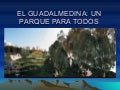 Guadalmedina Parque Fluvial