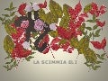 La storia della scimmietta Eli