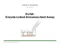 ELISA Test: Enzyme-linked Immunosorbent Assay
