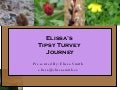 Elissas Journey