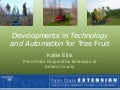 Developments in Technology and Automation for Tree Fruit