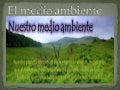 El medio ambiente