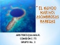 El mundo marino: asombrosas rarezas