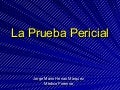 El Papel Del Perito En El Nuevo Sistema