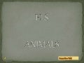 Els animals