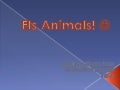 Els animals