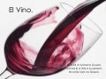 Elvino