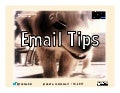 Email Tips