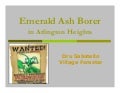 Emerald Ash Borer Program March 20, 2012, Dru Sabatello