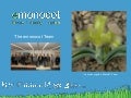 Introduction to eMonocot (Dave Simpson)