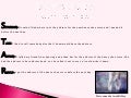Employability skills powerpoint