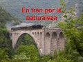 En Tren por la Naturaleza