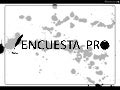 Encuesta pro 2010