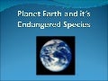 0647685 - Endangered Animals