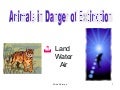Endangered animals