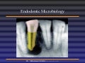 Endodontic microbiology