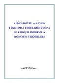 ENDÜSTRİYEL ve BÜYÜK TÜKETİMLİ TESİSLERİN DOĞAL GAZ PROJELENDİRME ve DÖNÜŞÜM TEKNİKLERİ