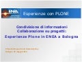 Esperienze PLONE in ENEA a Bologna