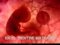 En El Vientre Materno