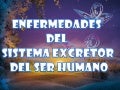 Enfermedades Del Aparato Excretor En El Ser Humano
