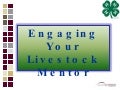 Engaging Your Mentor