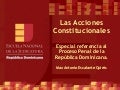 ENJ 300 Procesal Constitucional