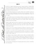 Ensayo del ensayo