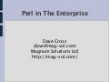 Enterprise Perl