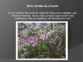 Entre andalucia y suecia
