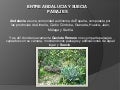 Entre andalucia y suecia paisajes