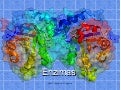 Enzimas (2)