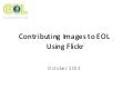 EOL Flickr Tutorial
