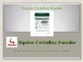 Equine Cortaflex Powder