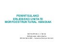 Espainiako Erliebea III