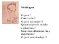 Es Raula45[1]