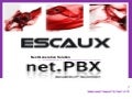 Escaux Net.Gen Unified Communications