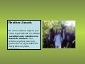 Esculturas con ramas secas
