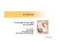 E Service Euroia2008