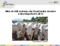ES Informa Mídia - 21 de maio de 2013