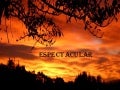 Espectacular