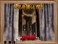 Espejo De La Vida