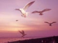 Espiritualidade diferente de religiao