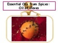 Essential Oils From Spices